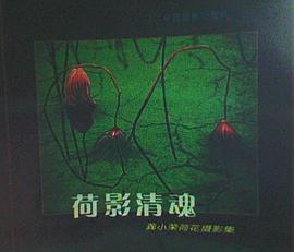 荷影清魂 pdf epub mobi 电子书 下载