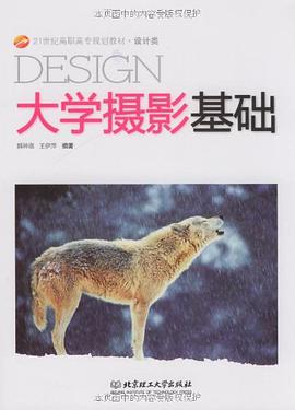 大学摄影基础 pdf epub mobi 电子书 下载