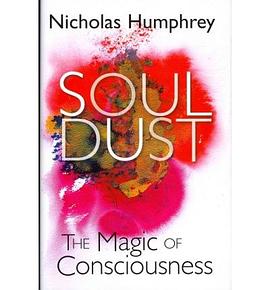 Soul Dust The Magic of Consciousness pdf epub mobi 电子书 下载