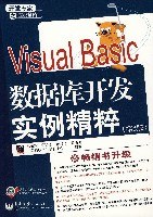 Visual Basic数据库开发实例精粹 pdf epub mobi 电子书 下载