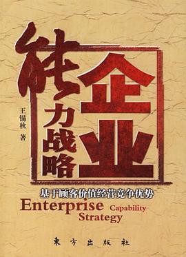 企业能力战略 pdf epub mobi 电子书 下载