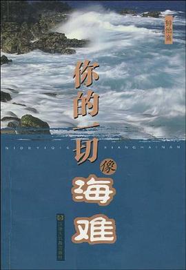 你的一切像海难 pdf epub mobi 电子书 下载
