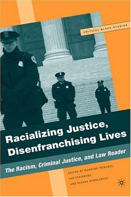 Racializing Justice, Disenfranchising Lives pdf epub mobi 电子书 下载