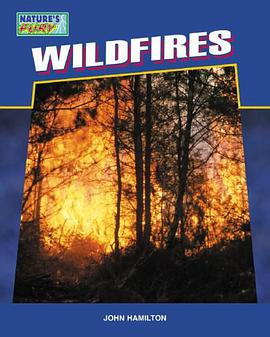 Wildfires pdf epub mobi 电子书 下载