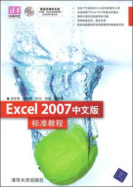 Excel 2007中文版标准教程 pdf epub mobi 电子书 下载