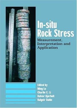 In-situ Rock Stress pdf epub mobi 电子书 下载