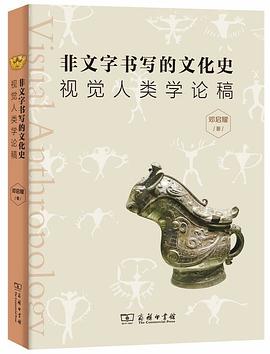 非文字书写的文化史 pdf epub mobi 电子书 下载