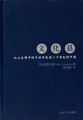 文化县 pdf epub mobi 电子书 下载