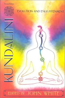 Kundalini, Evolution, and Enlightenment (Omega Book (New York, N.Y.).)