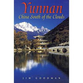 CAI课件的制作与网络课程的设计 pdf epub mobi 下载