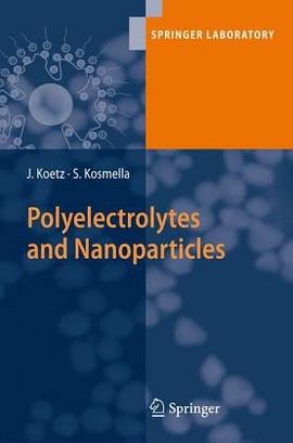 Polyelectrolytes and Nanoparticles pdf epub mobi 電子書 下載