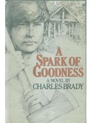 SPARK OF GOODNESS pdf epub mobi 电子书 下载
