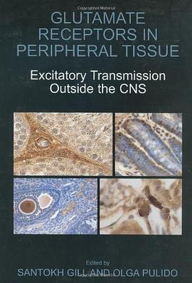 Glutamate Receptors in Peripheral Tissue pdf epub mobi 电子书 下载