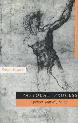 Pastoral Process pdf epub mobi 电子书 下载