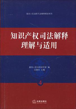 知识产权司法解释理解与适用