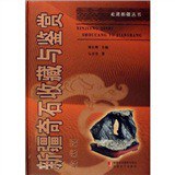 新疆奇石收藏与鉴赏 pdf epub mobi 下载
