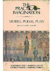 The Practical Imagination pdf epub mobi 电子书 下载