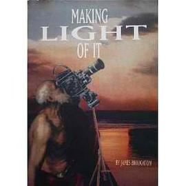 Making Light of It pdf epub mobi 電子書 下載