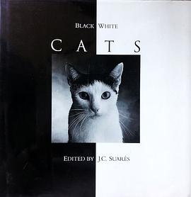 Black and White Cats pdf epub mobi 电子书 下载