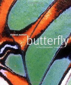 Butterfly pdf epub mobi 电子书 下载