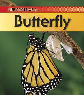 Butterfly pdf epub mobi 电子书 下载