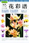 兰花彩谱 pdf epub mobi 电子书 下载