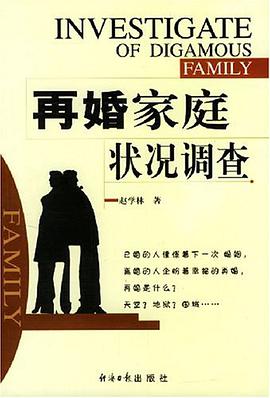 再婚家庭状况调查 pdf epub mobi 电子书 下载