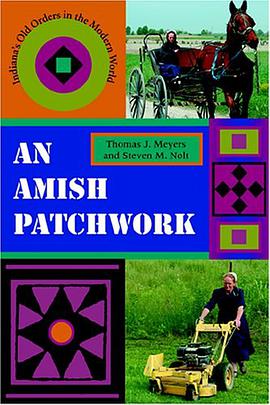 An Amish Patchwork pdf epub mobi 電子書 下載