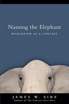 Naming the Elephant pdf epub mobi 电子书 下载