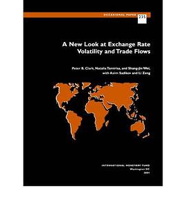 New Look At Exchange Rate Volatility And Trade Flows pdf epub mobi 电子书 下载