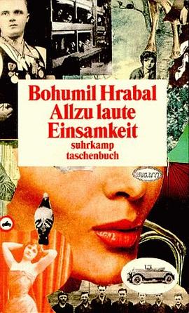 Allzu laute Einsamkeit pdf epub mobi 电子书 下载