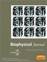 Biophysical Journal pdf epub mobi 电子书 下载