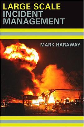 Large Scale Incident Management pdf epub mobi 电子书 下载