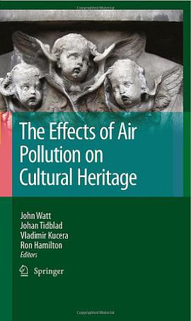 The Effects of Air Pollution on Cultural Heritage pdf epub mobi 电子书 下载