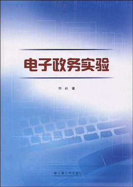 电子政务实验 pdf epub mobi 电子书 下载