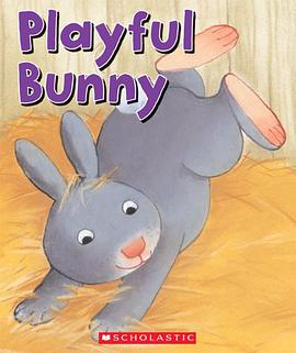 Playful Bunny pdf epub mobi 电子书 下载