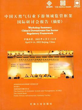 中国天然气行业下游领域监管框架国际研讨会报告 pdf epub mobi 电子书 下载