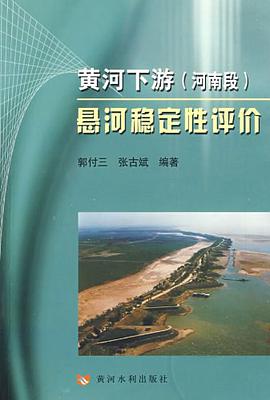 黄河下游 pdf epub mobi 电子书 下载
