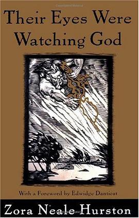 Their Eyes Were Watching God pdf epub mobi 电子书 下载