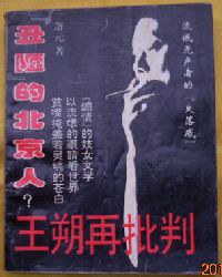 王朔再批判 pdf epub mobi 电子书 下载