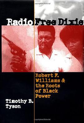 Radio Free Dixie pdf epub mobi 電子書 下載