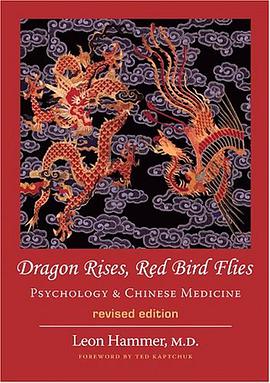 Dragon Rises, Red Bird Flies pdf epub mobi 电子书 下载