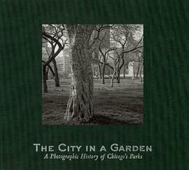 The City in a Garden pdf epub mobi 电子书 下载