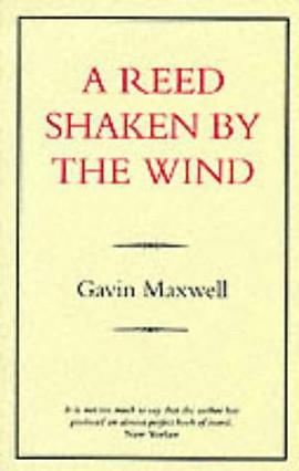 A Reed Shaken by the Wind (Celtic Interest) pdf epub mobi 电子书 下载
