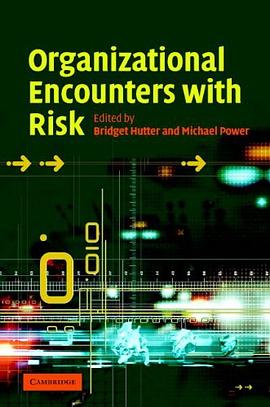 Organizational Encounters with Risk pdf epub mobi 電子書 下載