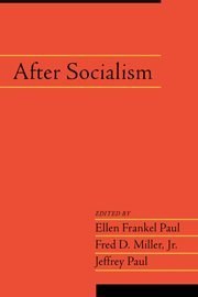After Socialism pdf epub mobi 电子书 下载