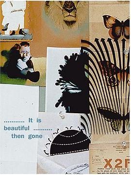 It Is Beautiful...Then Gone pdf epub mobi 电子书 下载