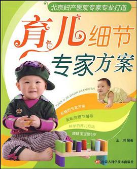 育儿细节专家方案 pdf epub mobi 电子书 下载