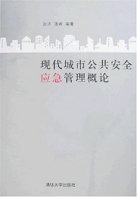 现代城市公共安全应急管理概论 pdf epub mobi 电子书 下载