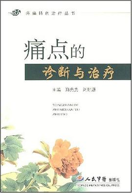 痛点的诊断与治疗 pdf epub mobi 电子书 下载
